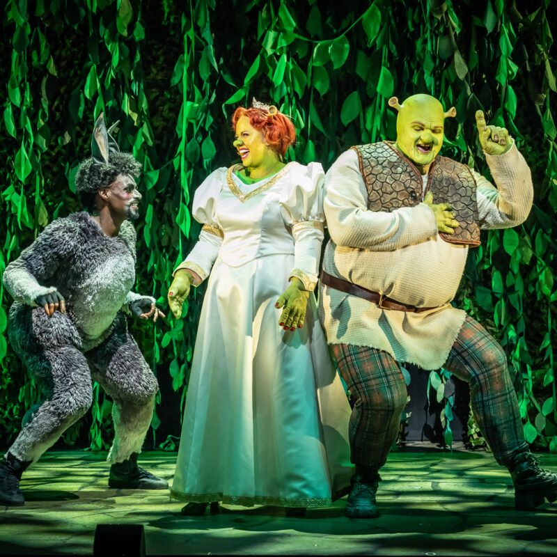 Preview: Shrek the Musical, Mayflower Theatre, Southampton - In-Common ...