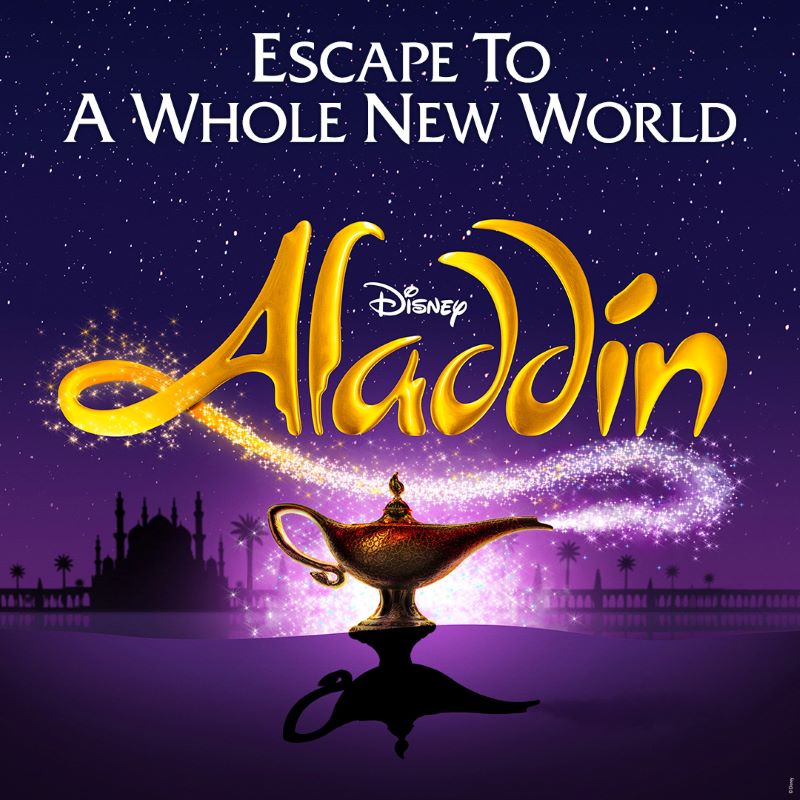 Preview: Aladdin the Musical, Mayflower Theatre, Southampton