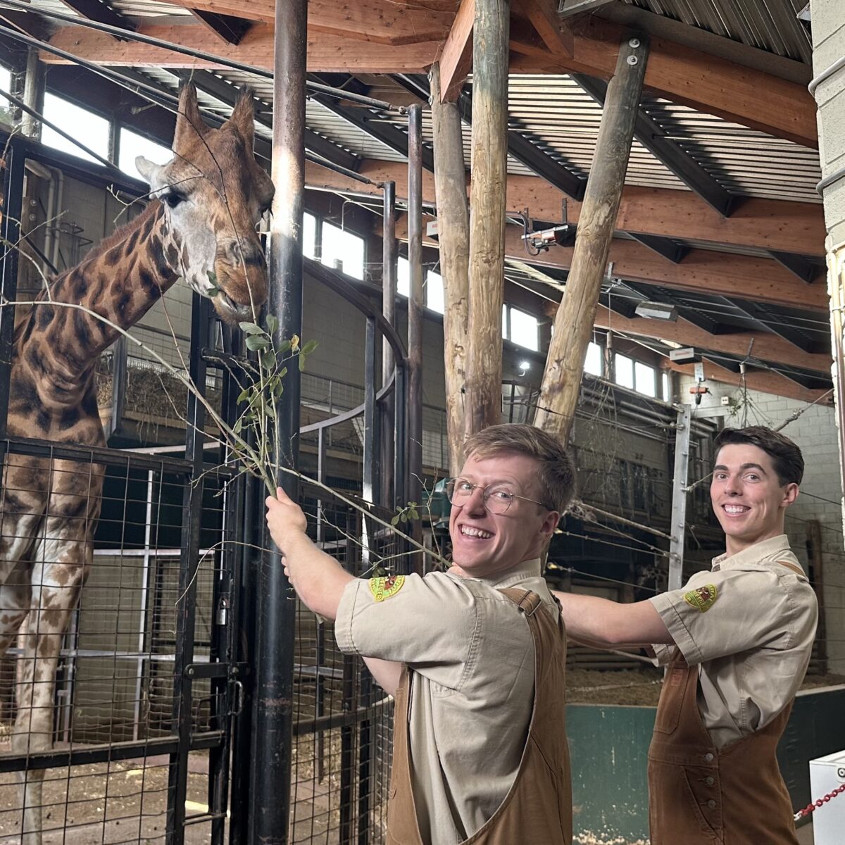 Madagascar the Musical get zootastic at Marwell