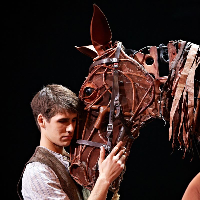 Preview: War Horse, Mayflower Theatre, Southampton