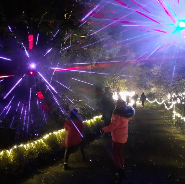 Light Up Sir Harold Hillier Gardens returns this festive season