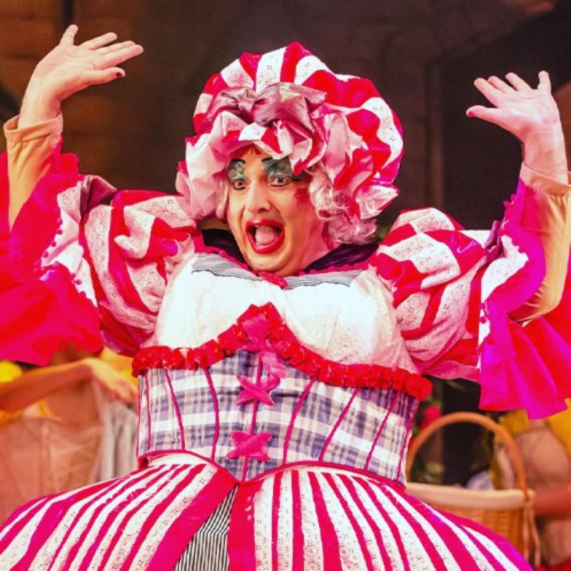 One week to go until Mother Goose at Theatre Royal Winchester