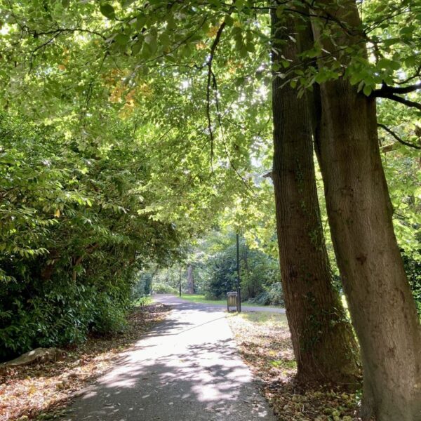 Suburban Safari: Ladies Walk, Thornhill