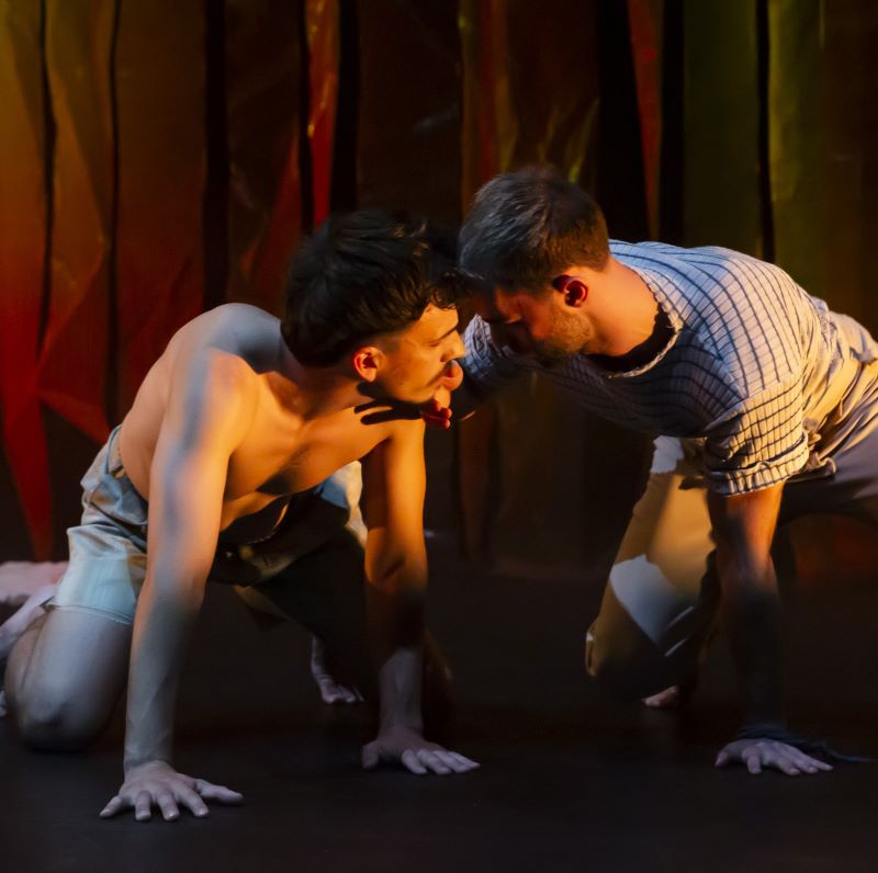 Review: Mariposa by DeNada Dance Theatre, MAST Mayflower Southampton